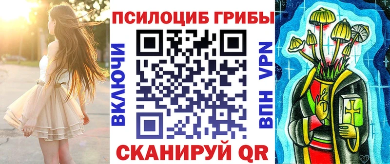 как найти наркотики  Талдом  Галлюциногенные грибы Cubensis 